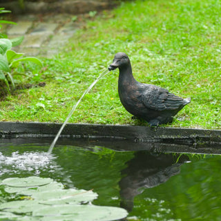 Wasserspeier Ente
