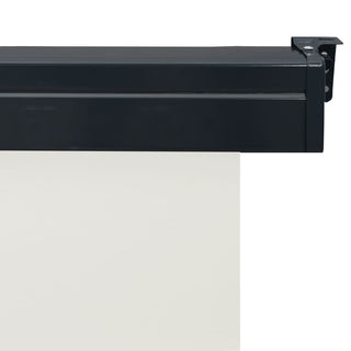 Balkon-Seitenmarkise 105x250 cm Creme