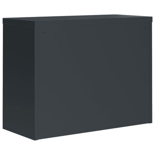 Aktenschrank Anthrazit 90x40x110 cm Stahl