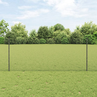 Gartenzaun Set Set von 2 Grau Metall 25 x 1 m Langlebig